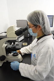 萊茵技術(shù)商檢青島食品實驗室 技術(shù)創(chuàng)新與交流的視覺之旅